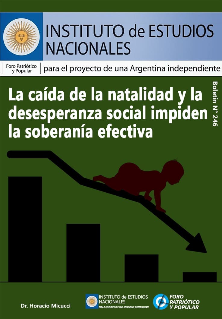 Boletín N° 246